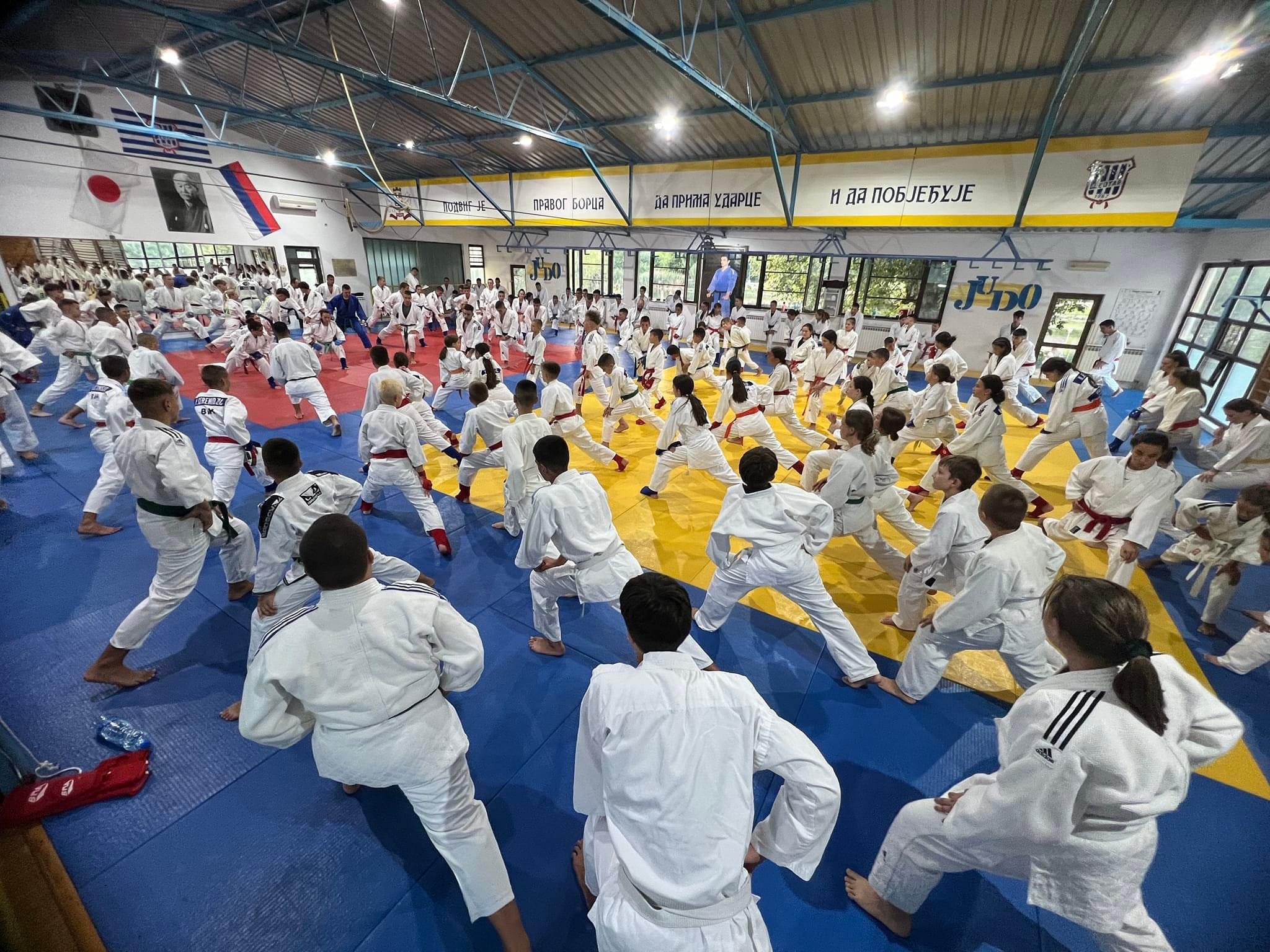 Ju Jitsu Vijesti